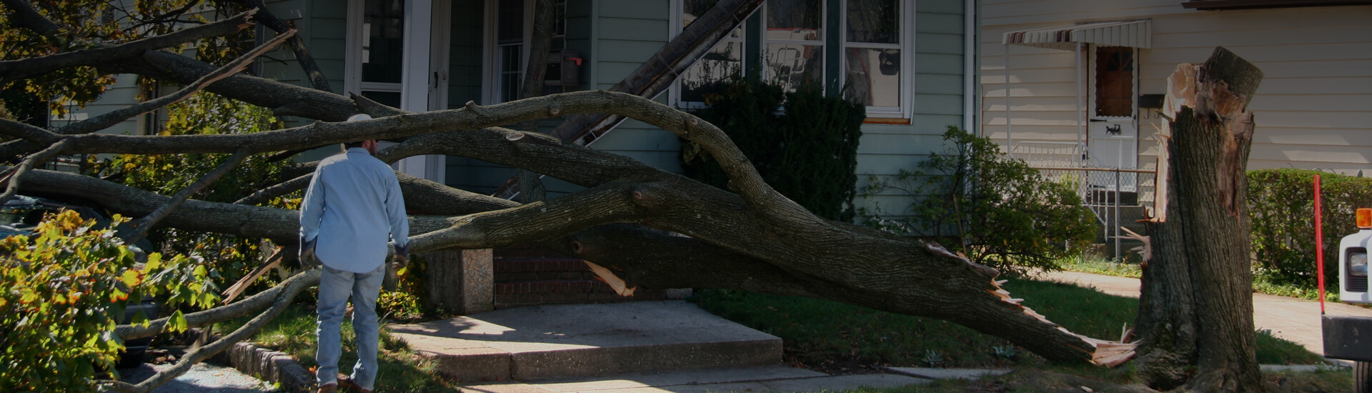 A photo of a tree that fell in front of a house