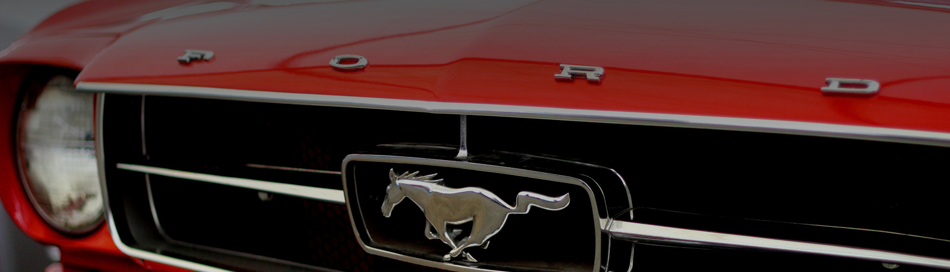 Close up photo of a car logo