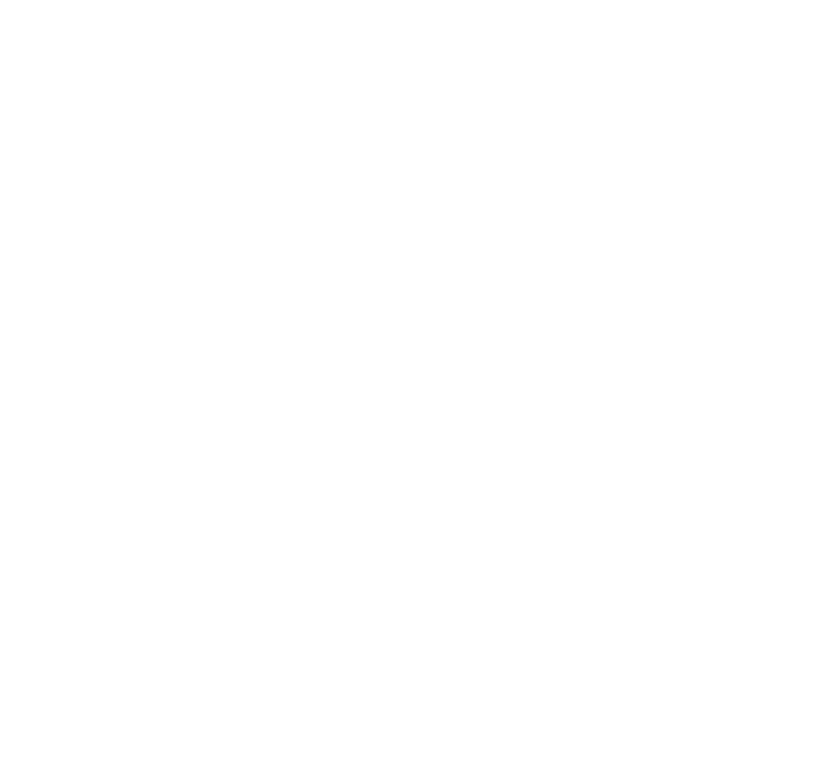 MAPFRE Insurance logo light
